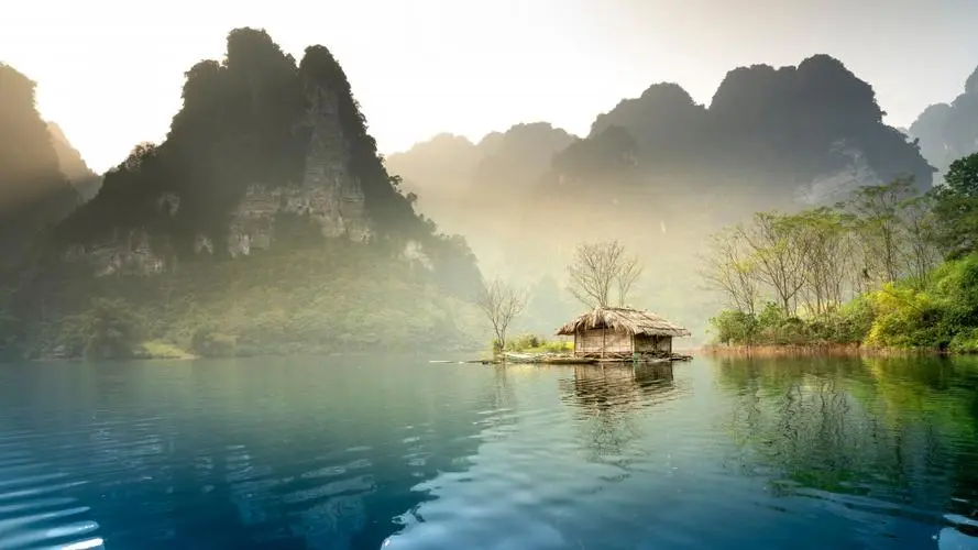 高效全自动高效